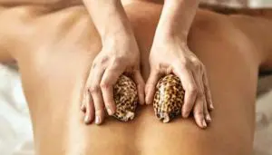 A person holding two pinecones on their back